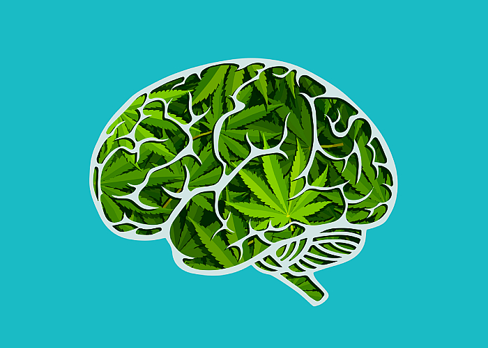 Weed Inside A Brain Illustration