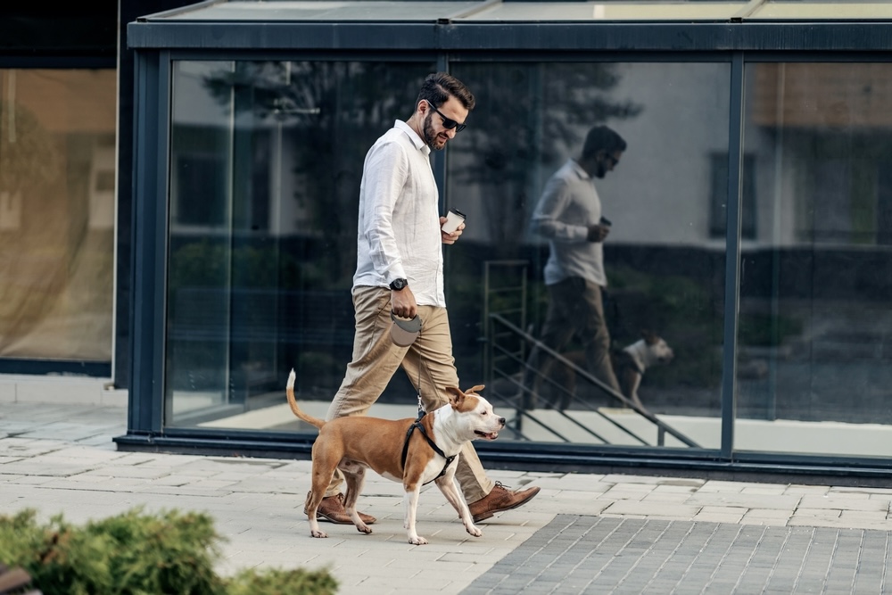 Man in the city sidewalk walking his dog