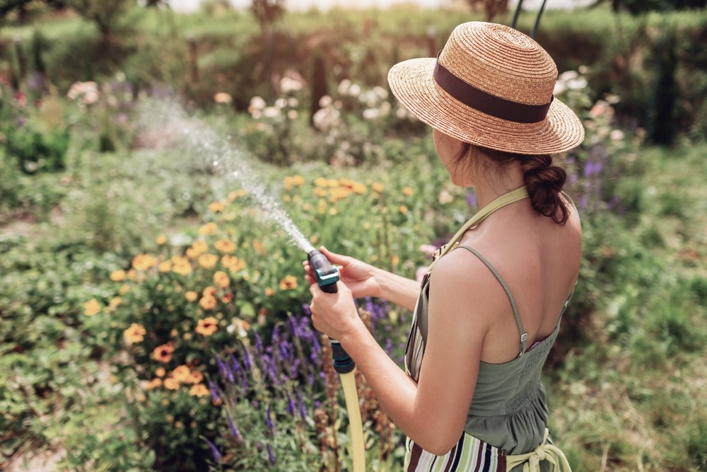 A woman in dress watering flowers in a garden